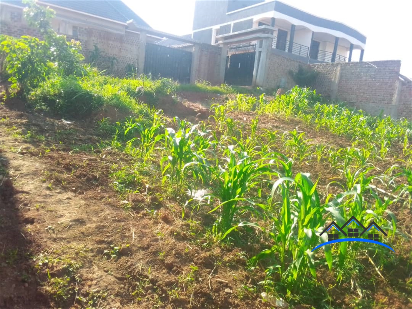 Residential Land for sale in Namugongo Wakiso