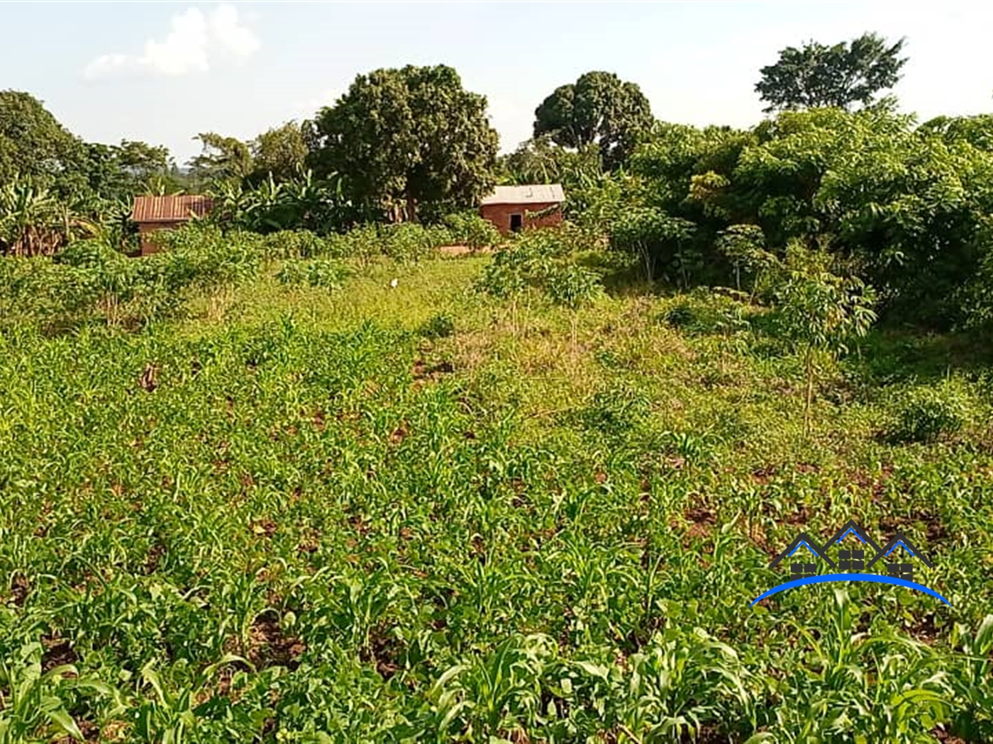 Agricultural Land for sale in Wobulenzi Luweero