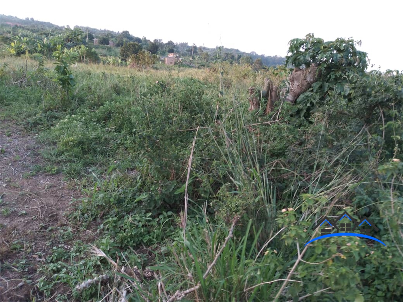 Residential Land for sale in Kiwenda Wakiso