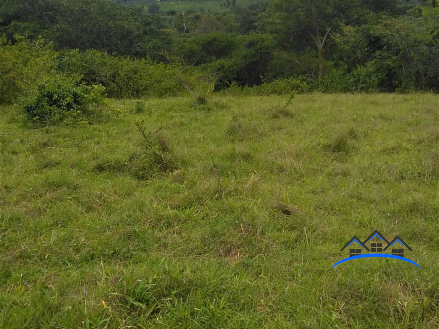 Agricultural Land for sale in Lwabenge Wakiso