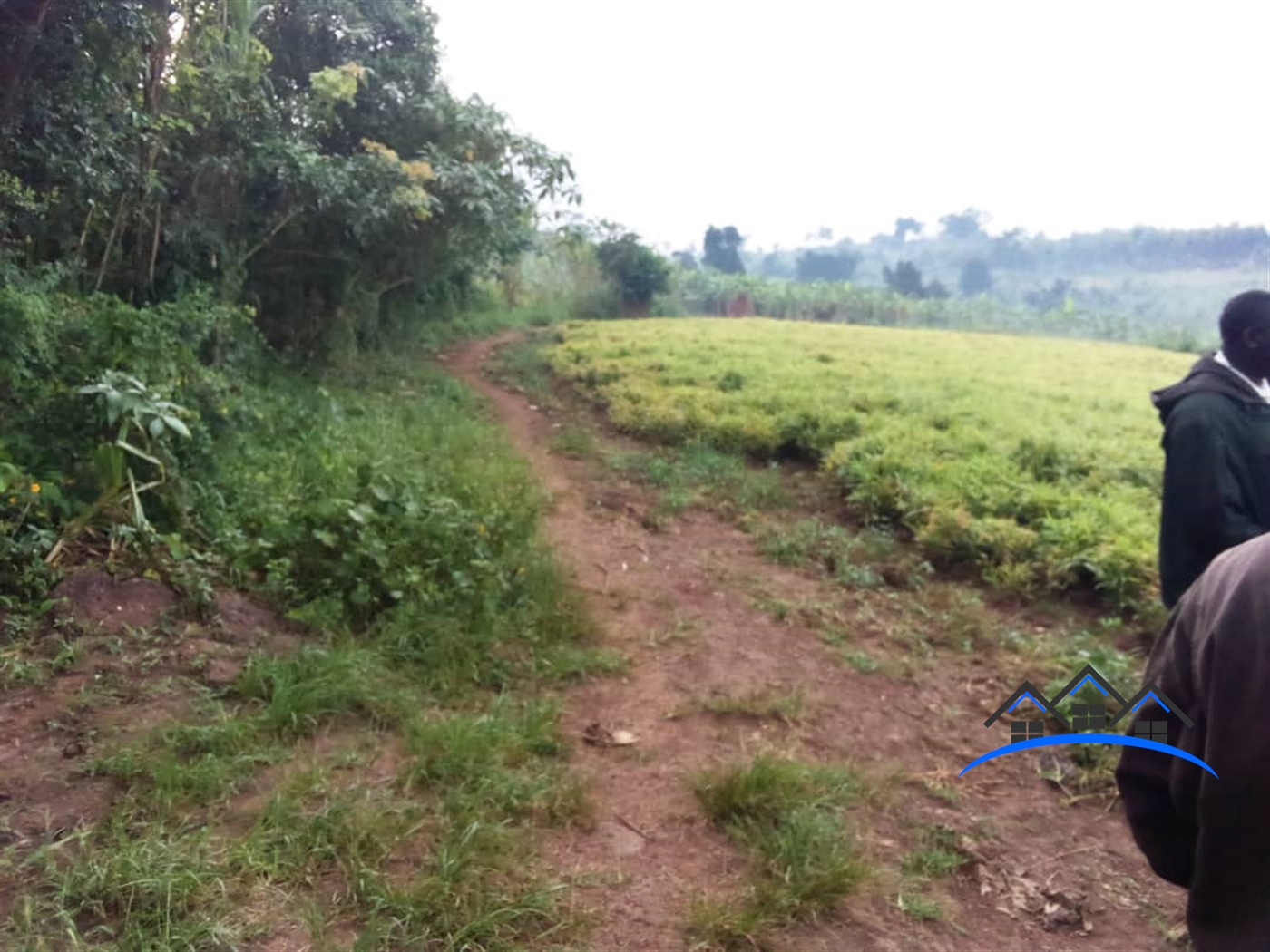 Agricultural Land for sale in Kalagala Kiboga