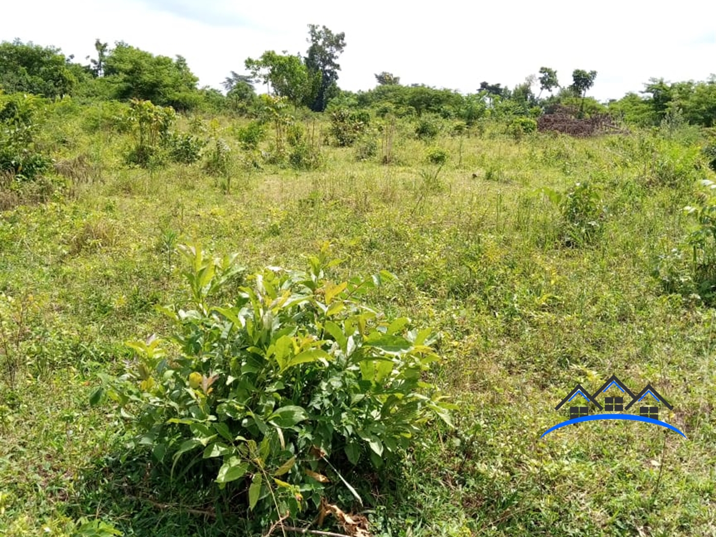 Agricultural Land for sale in Kawukano Luweero