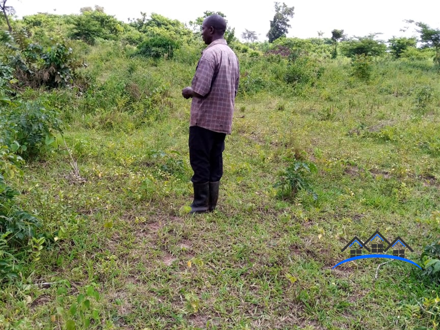 Agricultural Land for sale in Kawukano Luweero