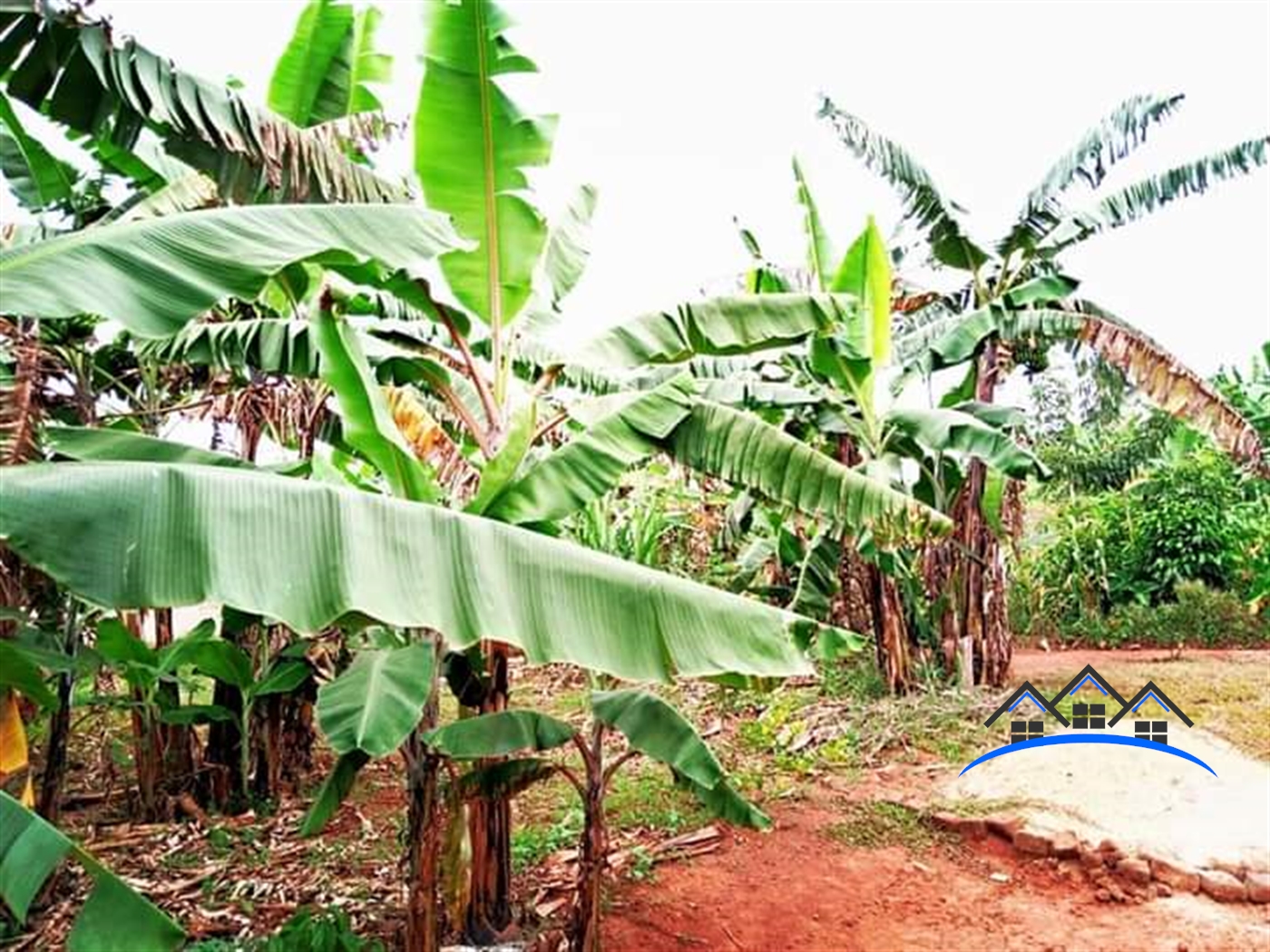 Bungalow for sale in Bukeelele Wakiso