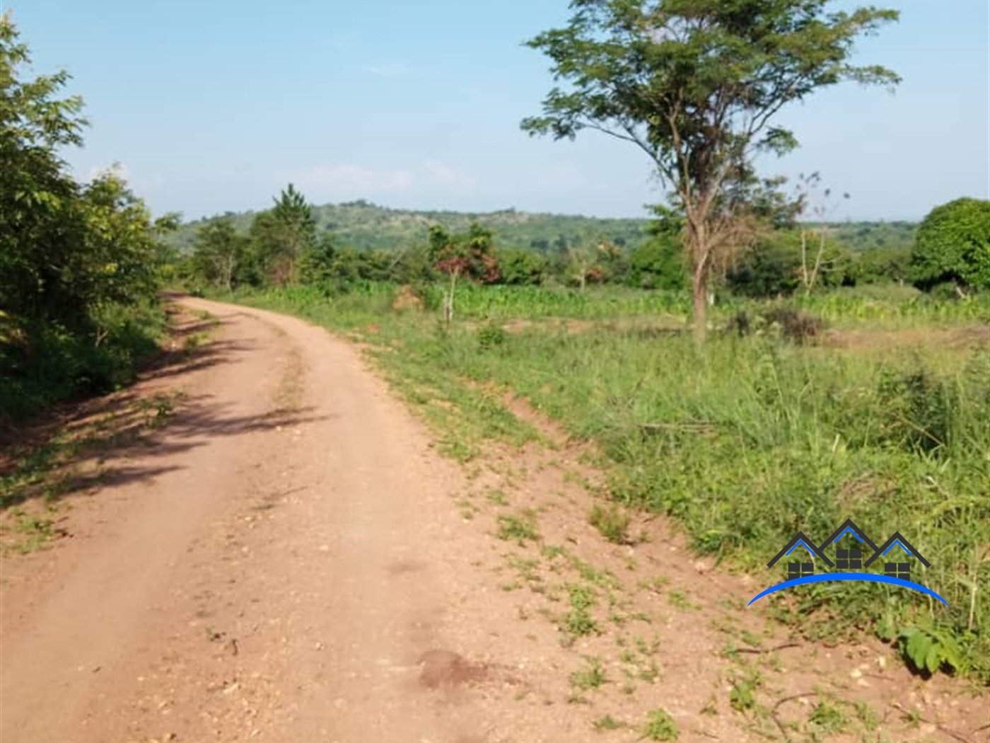 Agricultural Land for sale in Sasira Nakasongola