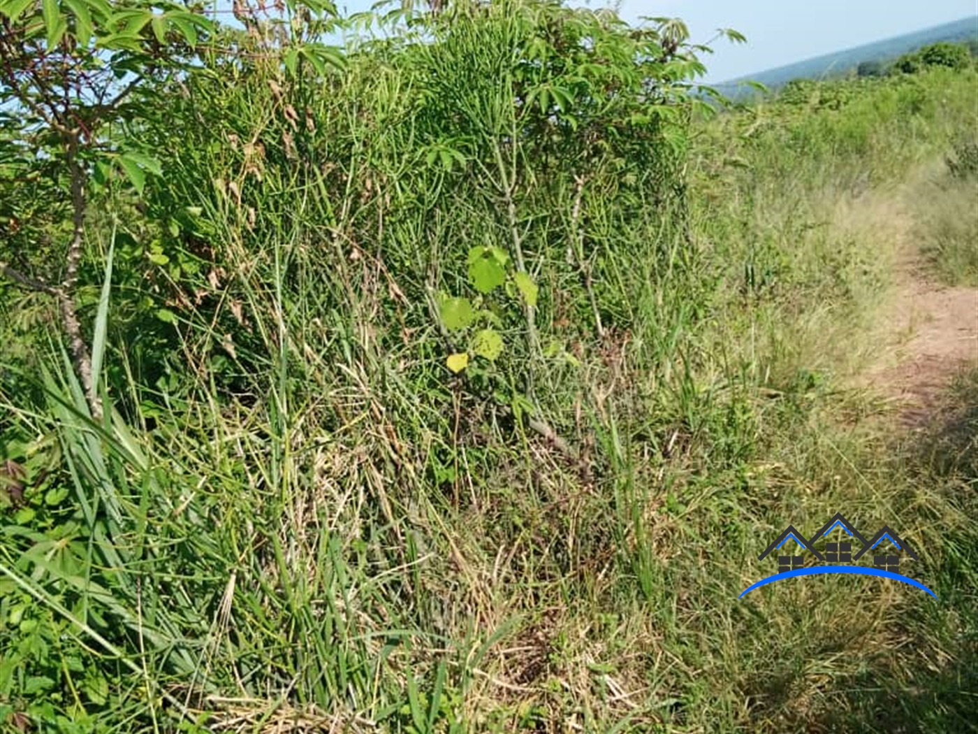 Agricultural Land for sale in Sasira Nakasongola