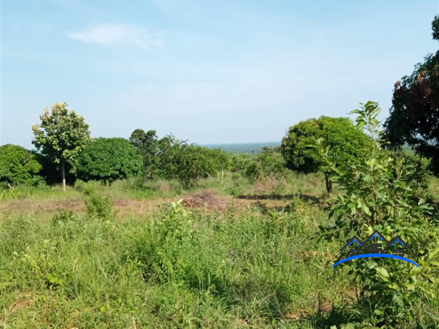 Agricultural Land for sale in Sasira Nakasongola