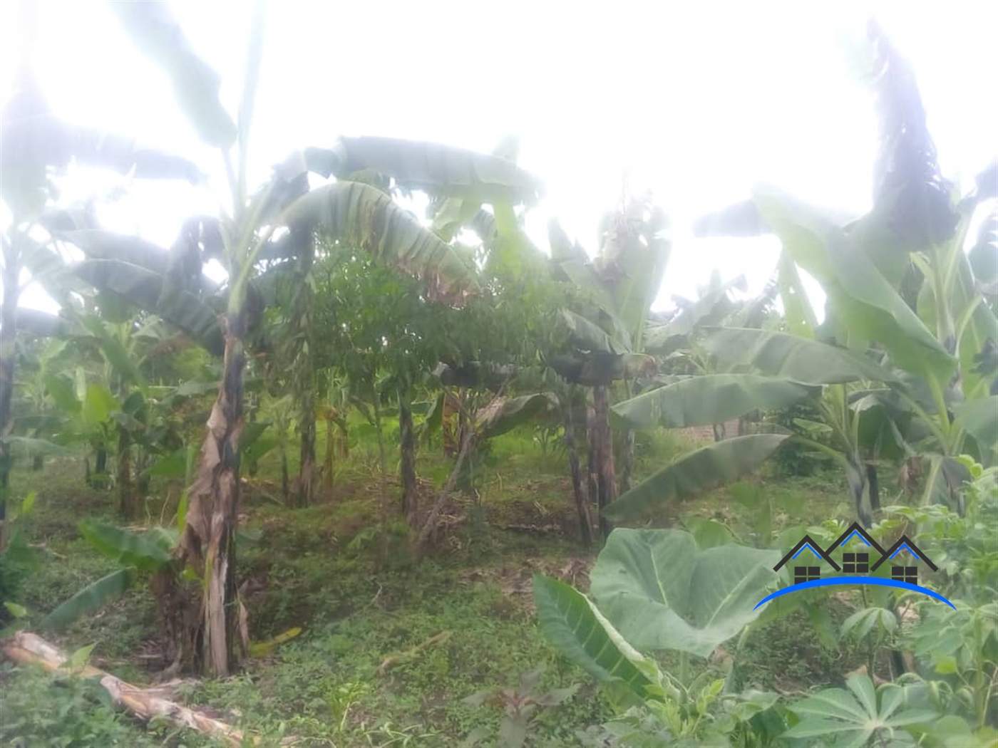 Residential Land for sale in Matugga Wakiso