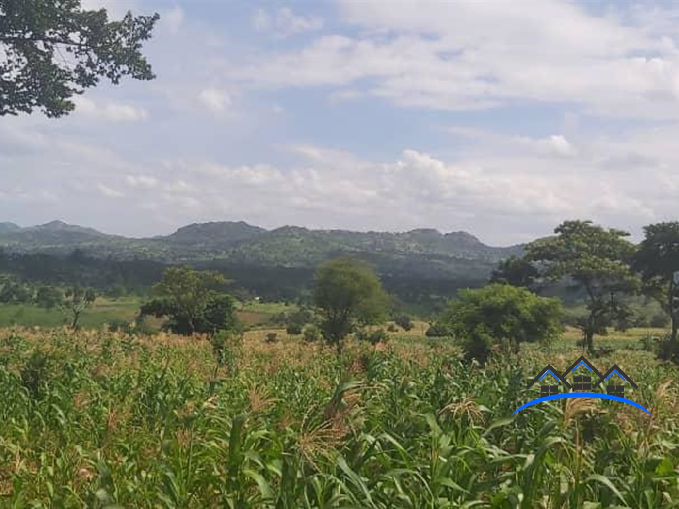 Agricultural Land for sale in Kyankwanzi Kiboga