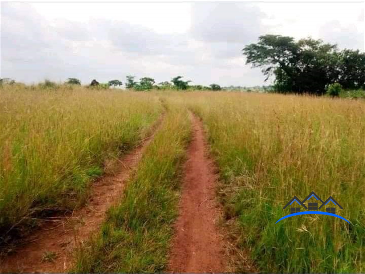 Agricultural Land for sale in Central Mubende