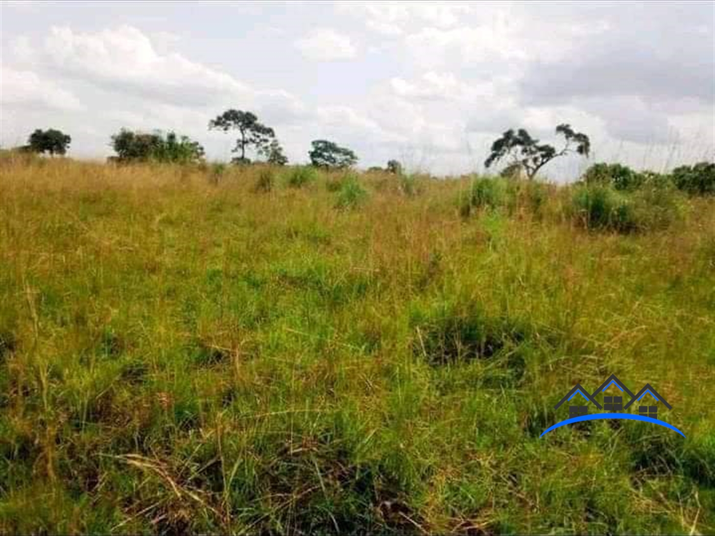 Agricultural Land for sale in Central Mubende