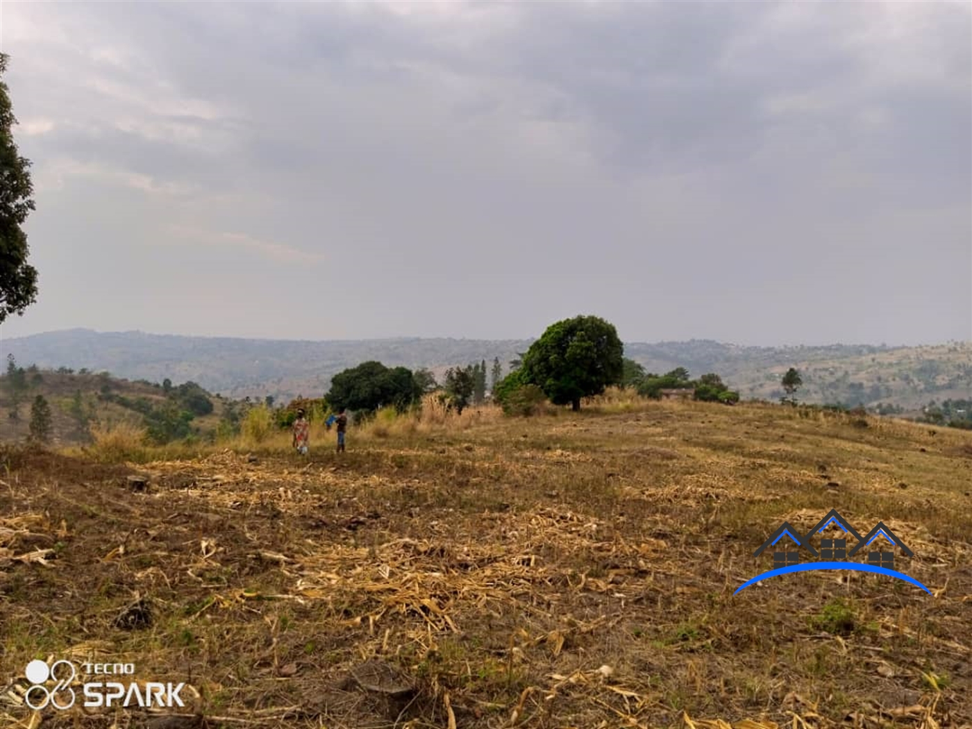 Agricultural Land for sale in Central Mubende