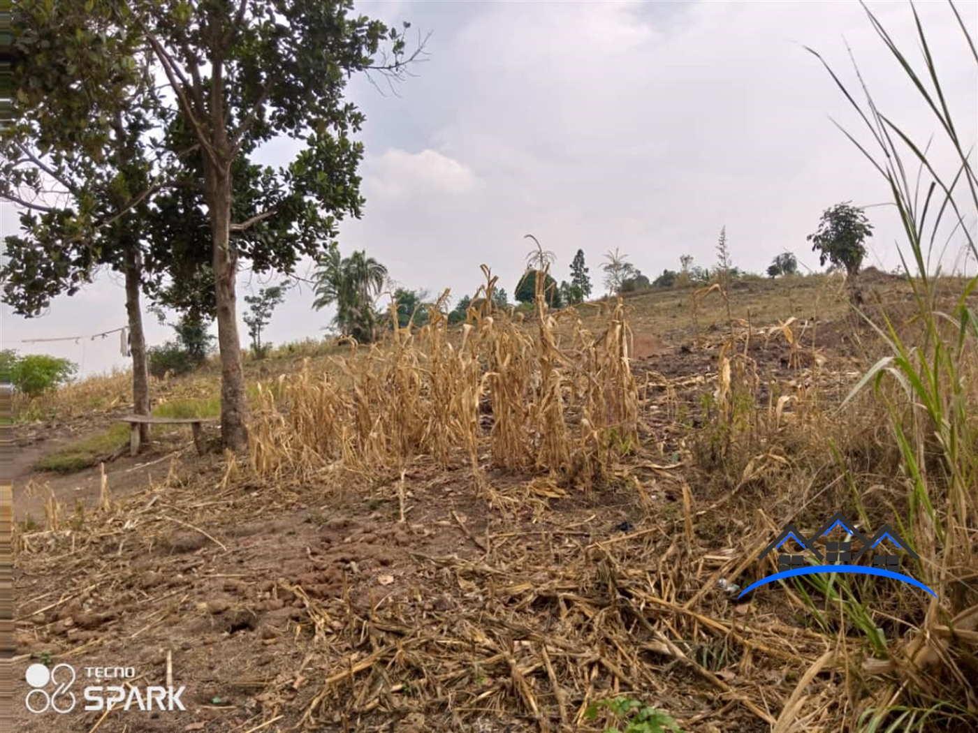 Agricultural Land for sale in Central Mubende