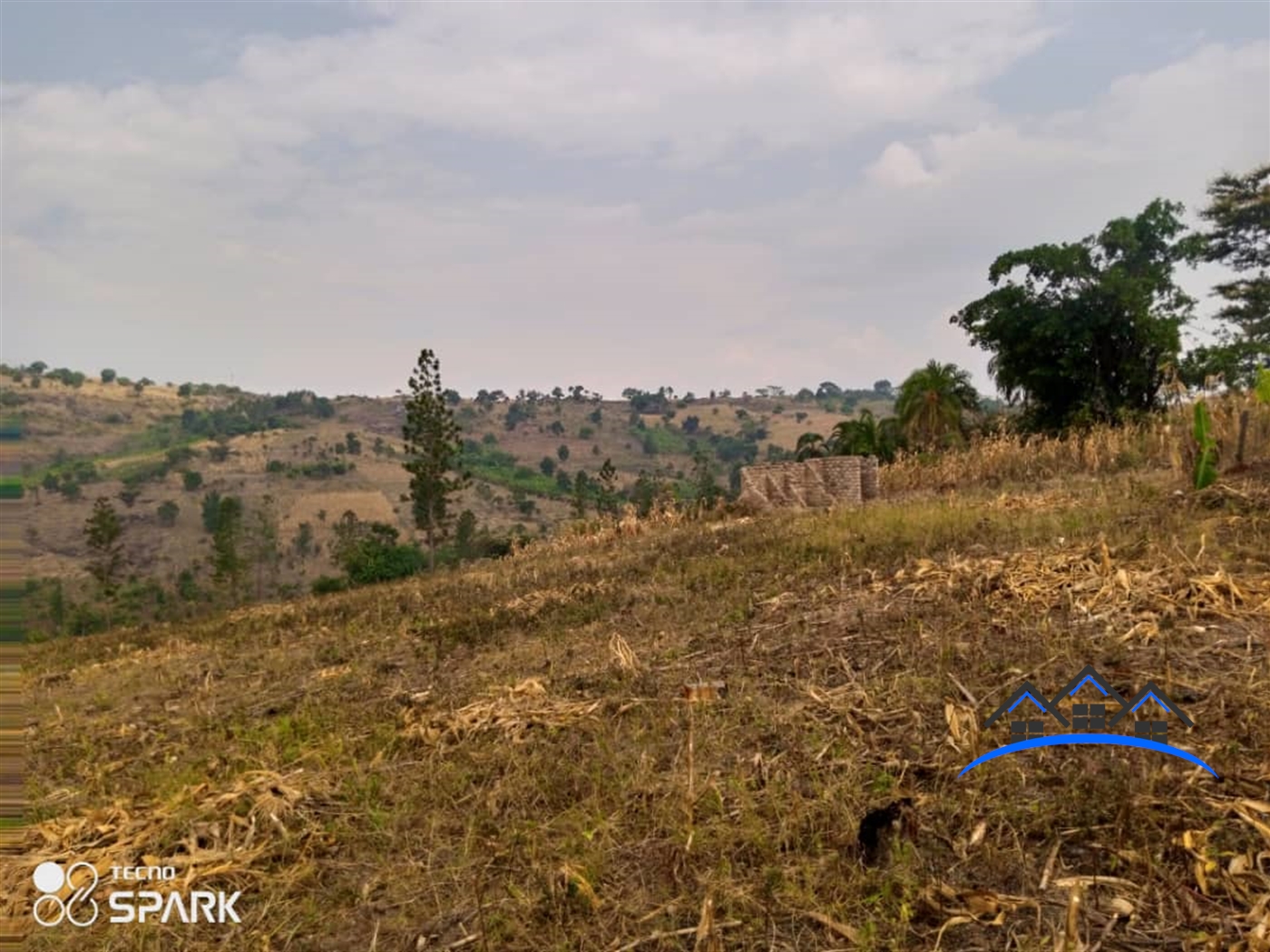 Agricultural Land for sale in Central Mubende