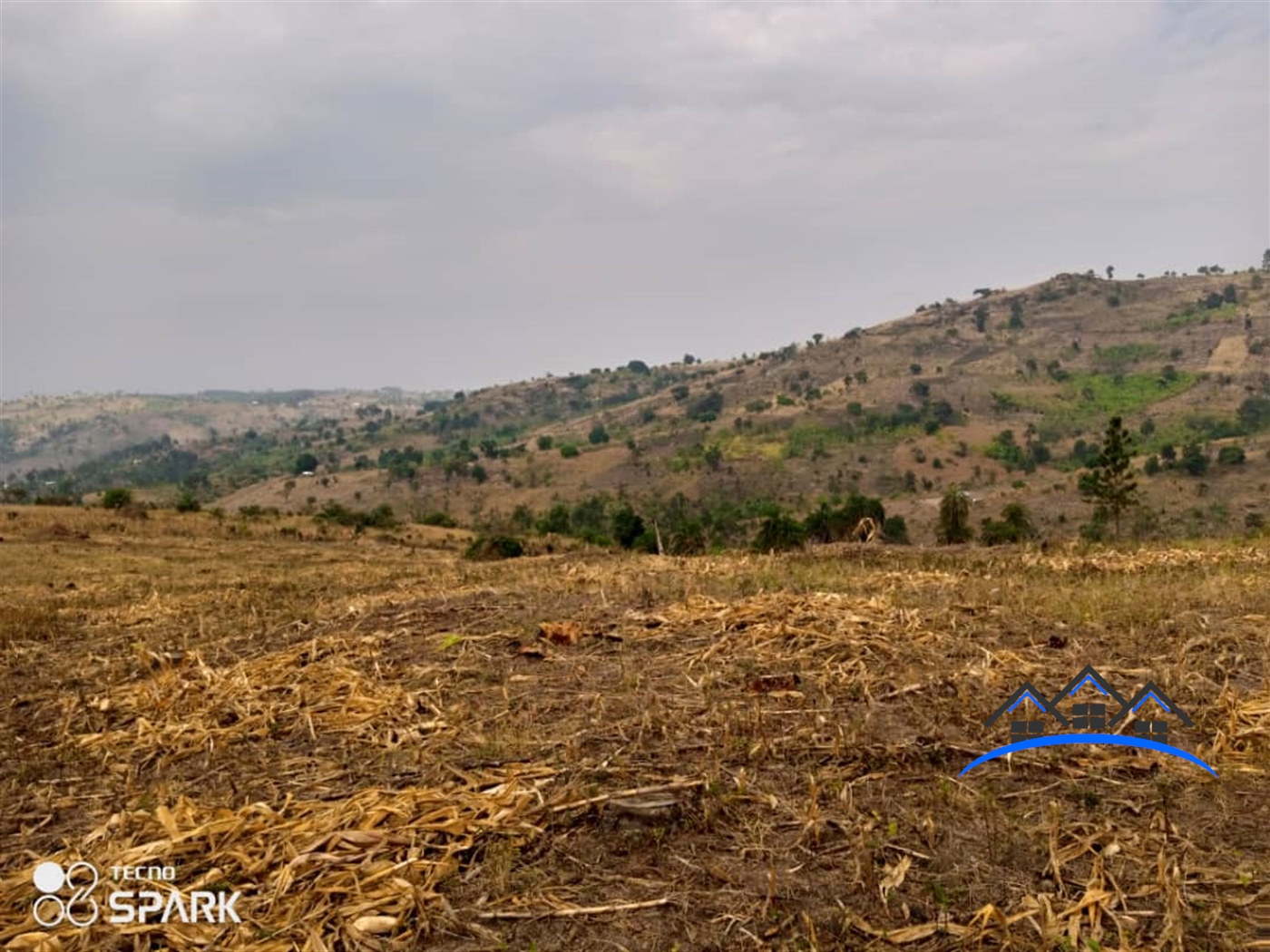 Agricultural Land for sale in Central Mubende