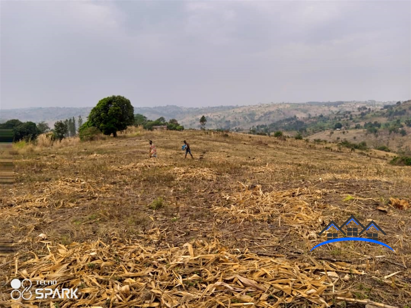 Agricultural Land for sale in Central Mubende