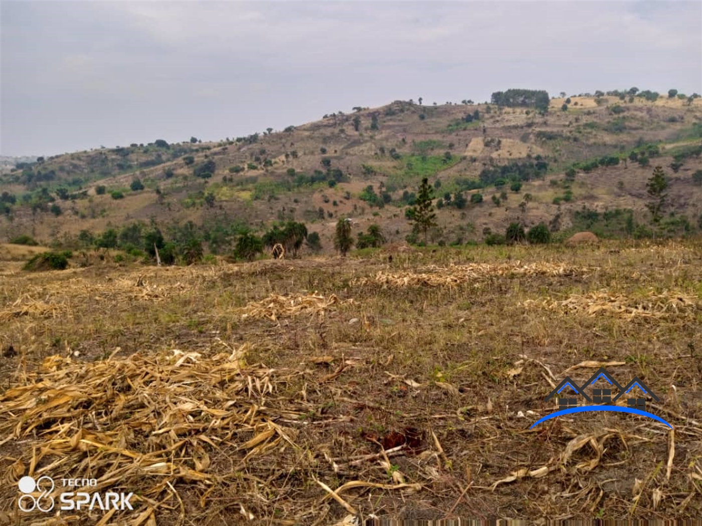 Agricultural Land for sale in Central Mubende