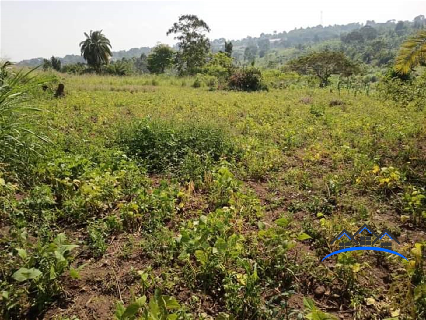 Agricultural Land for sale in Nakinyama Luweero