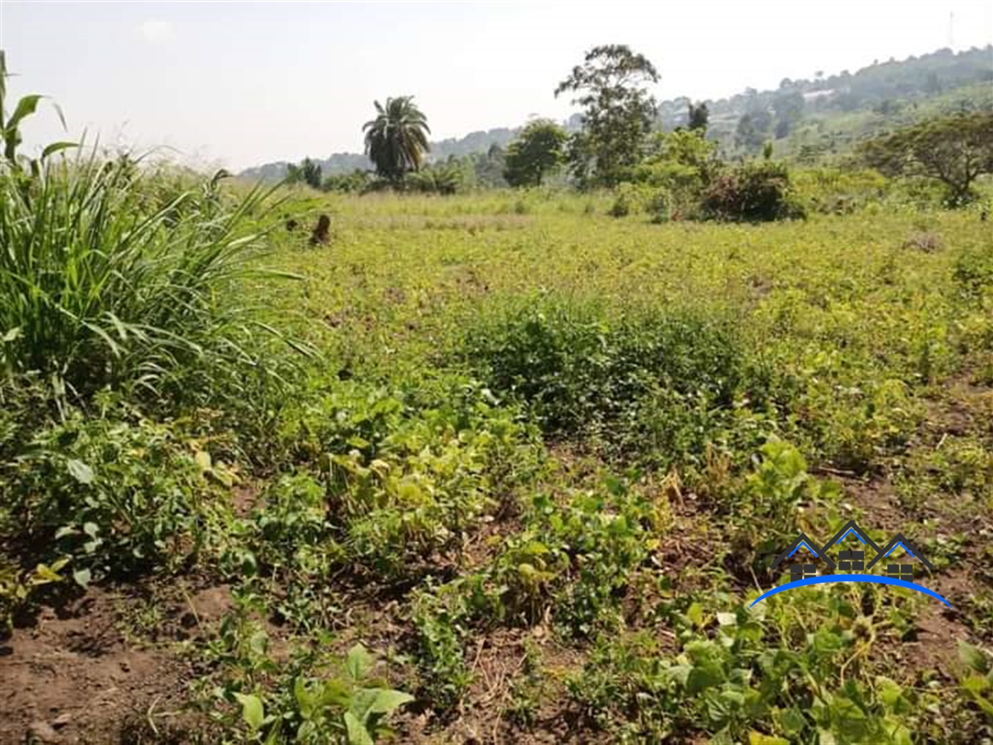 Agricultural Land for sale in Nakinyama Luweero