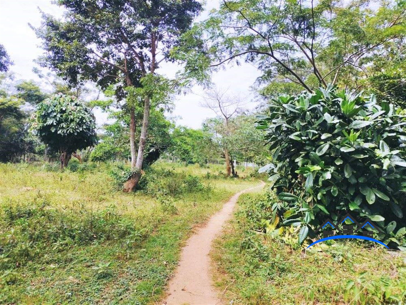Commercial Land for sale in Bussi Wakiso