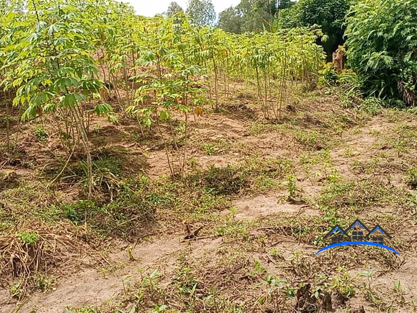 Agricultural Land for sale in Wobulenzi Luwero
