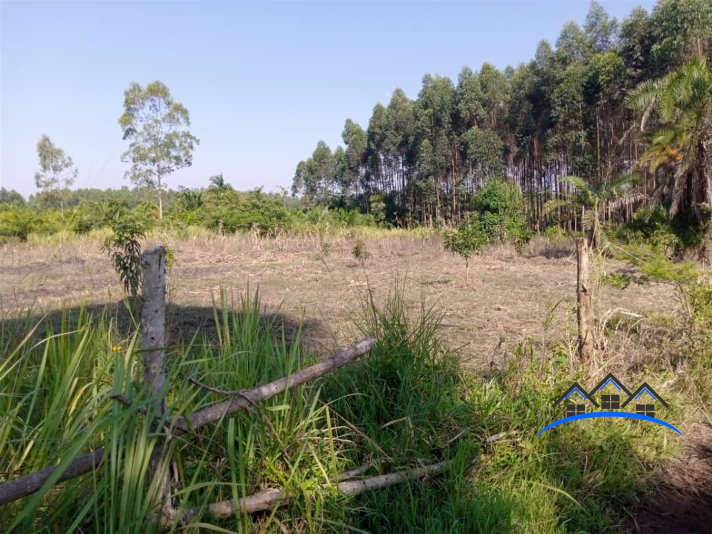 Agricultural Land for sale in Ggangu Nakaseke