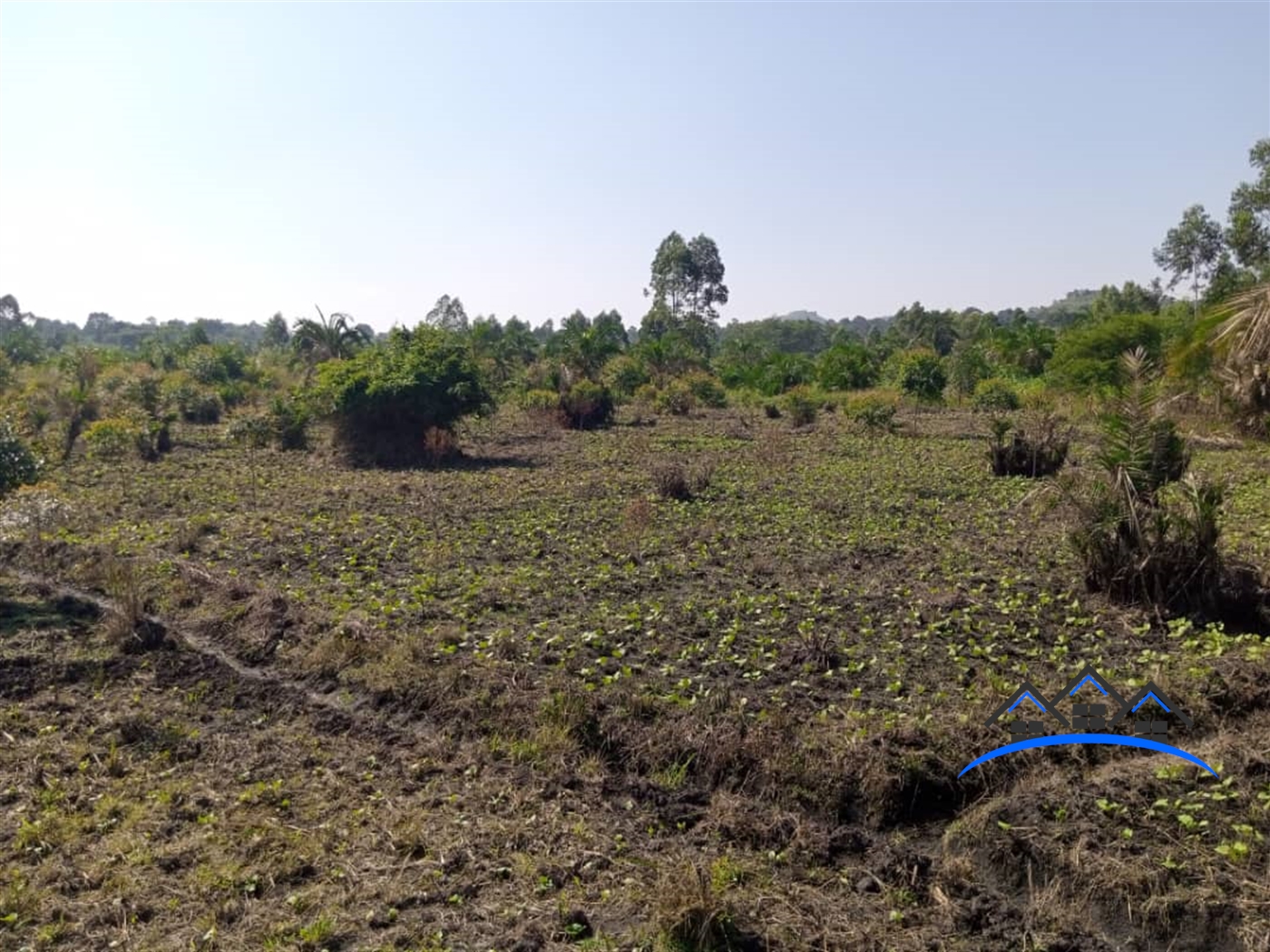 Agricultural Land for sale in Ggangu Nakaseke