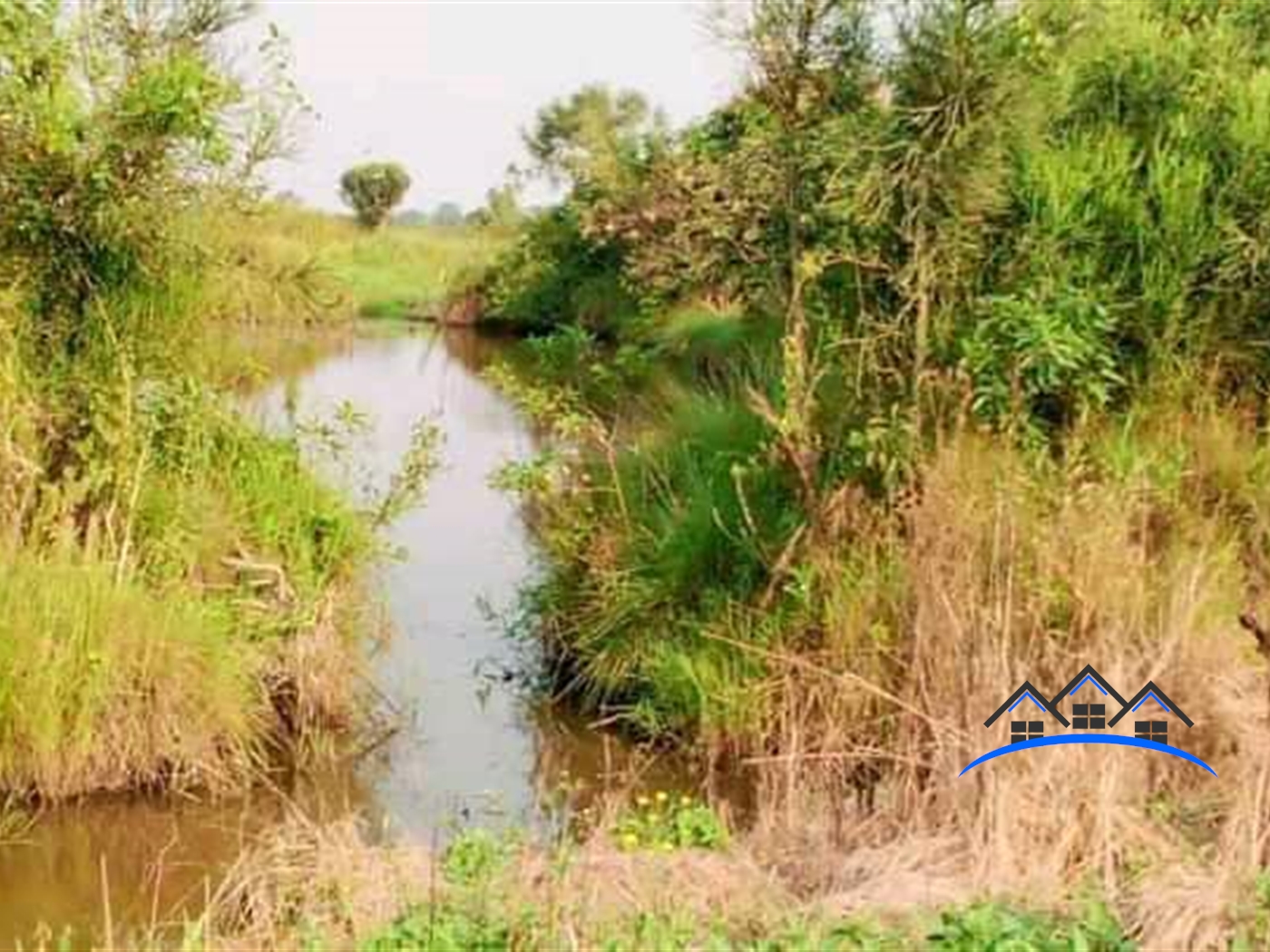 Agricultural Land for sale in Ziloobwe Luweero