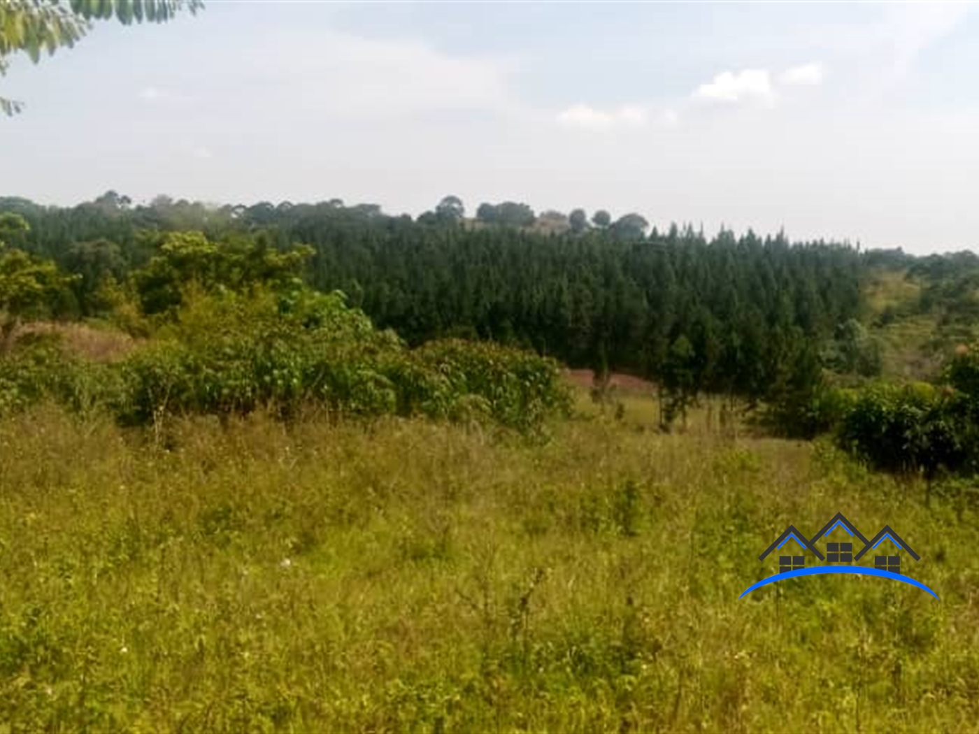 Agricultural Land for sale in Buwooya Mukono