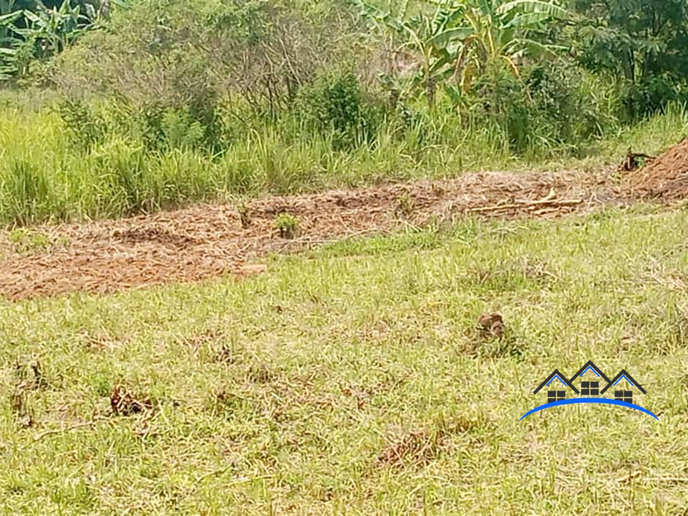 Agricultural Land for sale in Kakooge Luweero