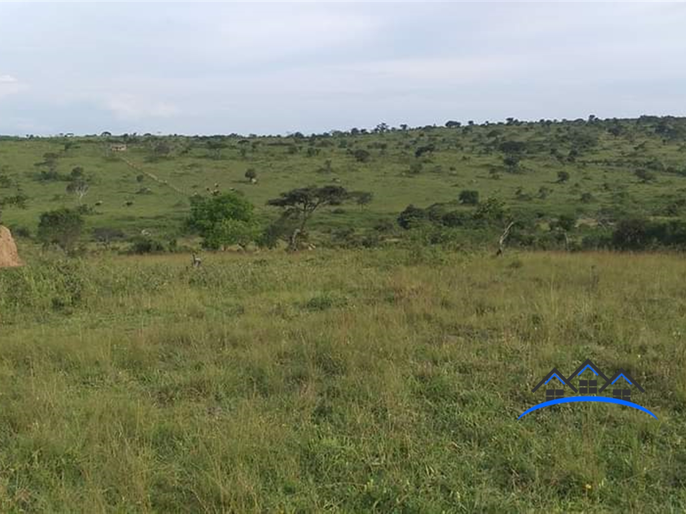 Farm for sale in Isingiro Mbarara