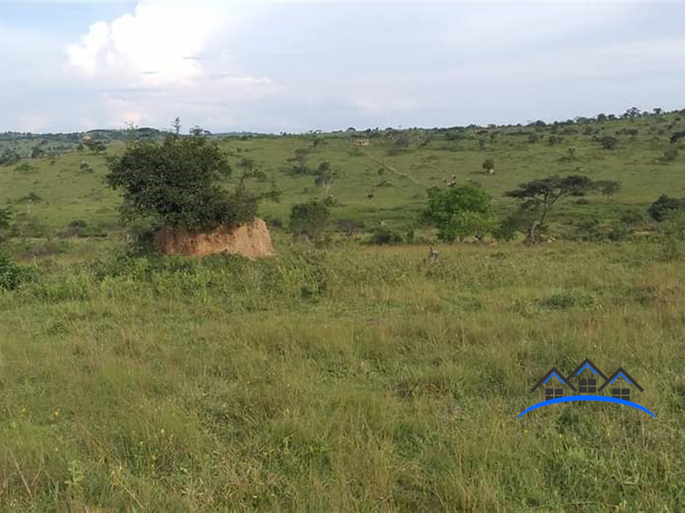 Farm for sale in Isingiro Mbarara