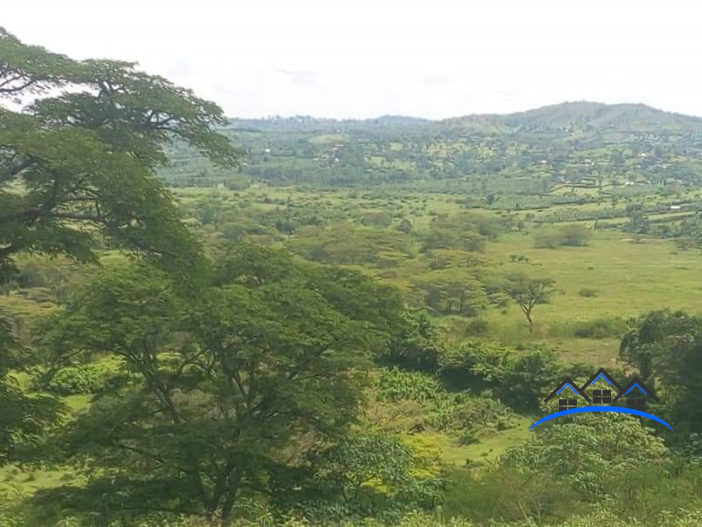 Farm for sale in Isingiro Mbarara