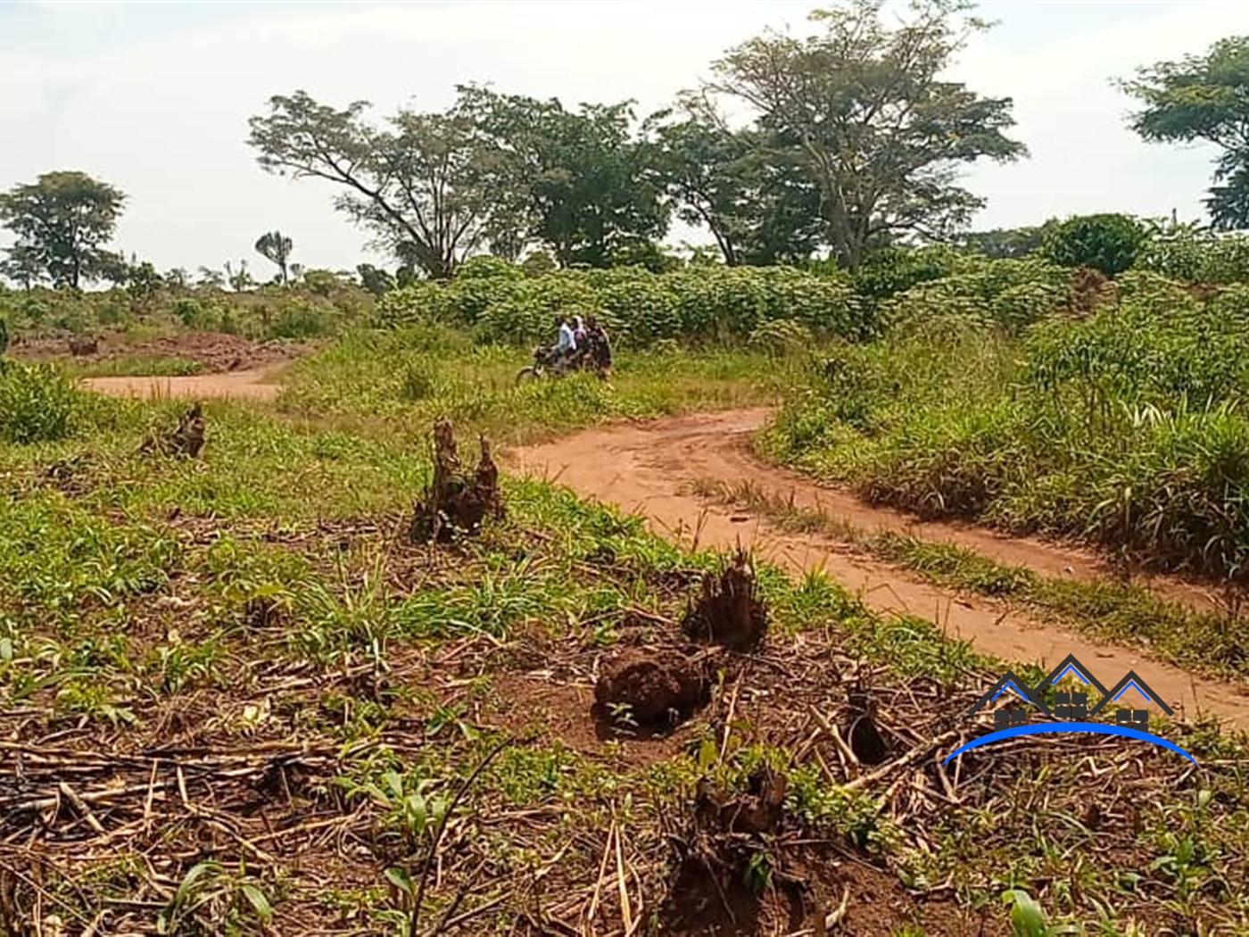 Agricultural Land for sale in Kakooge Luweero