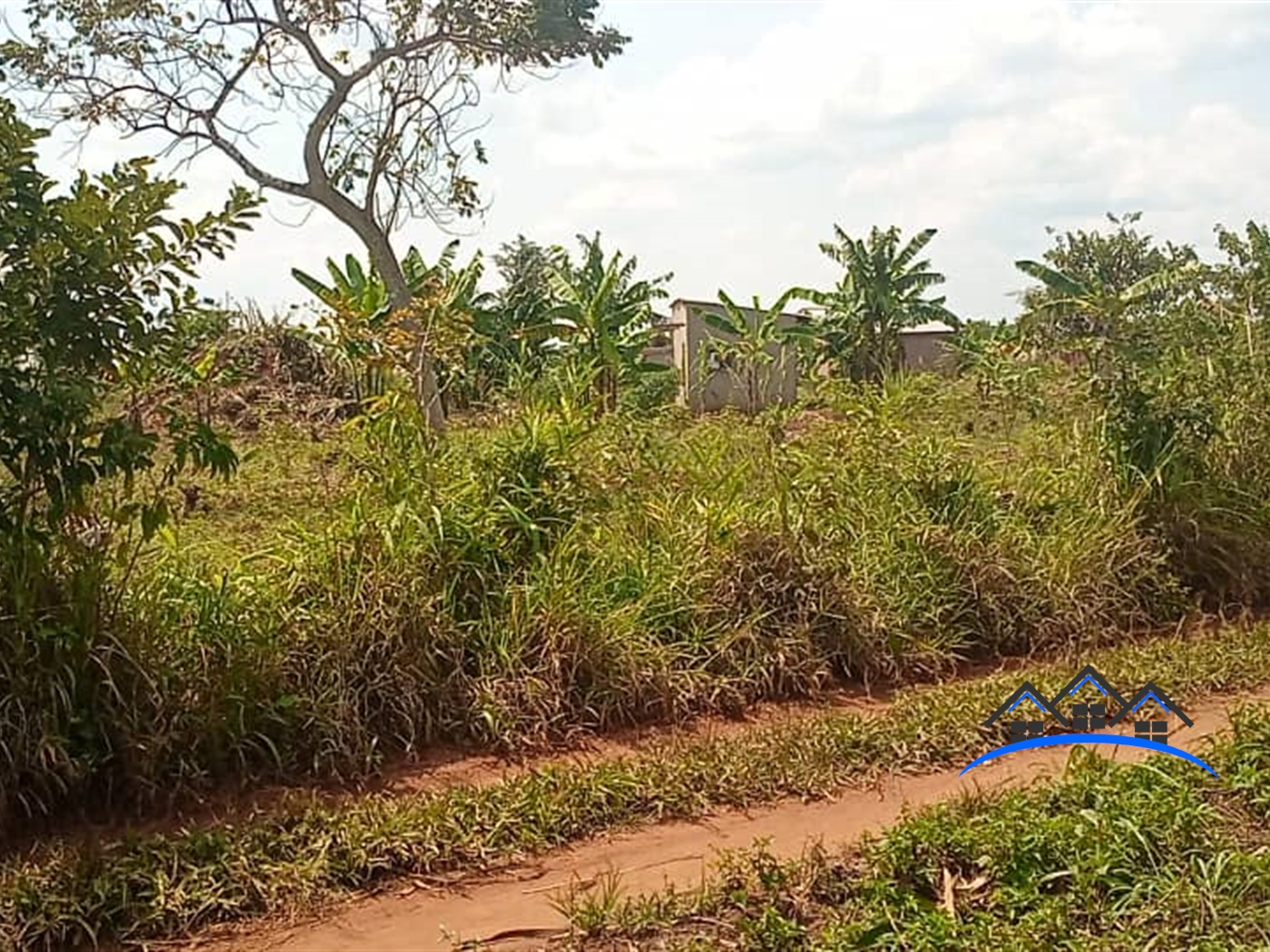 Agricultural Land for sale in Kakooge Luweero