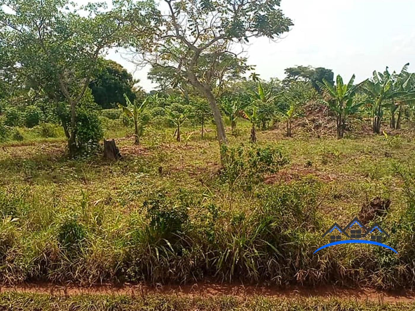 Agricultural Land for sale in Kakooge Luweero