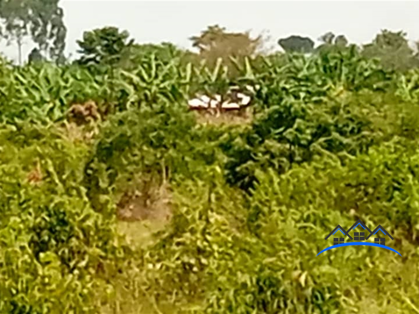 Agricultural Land for sale in Kakooge Luweero