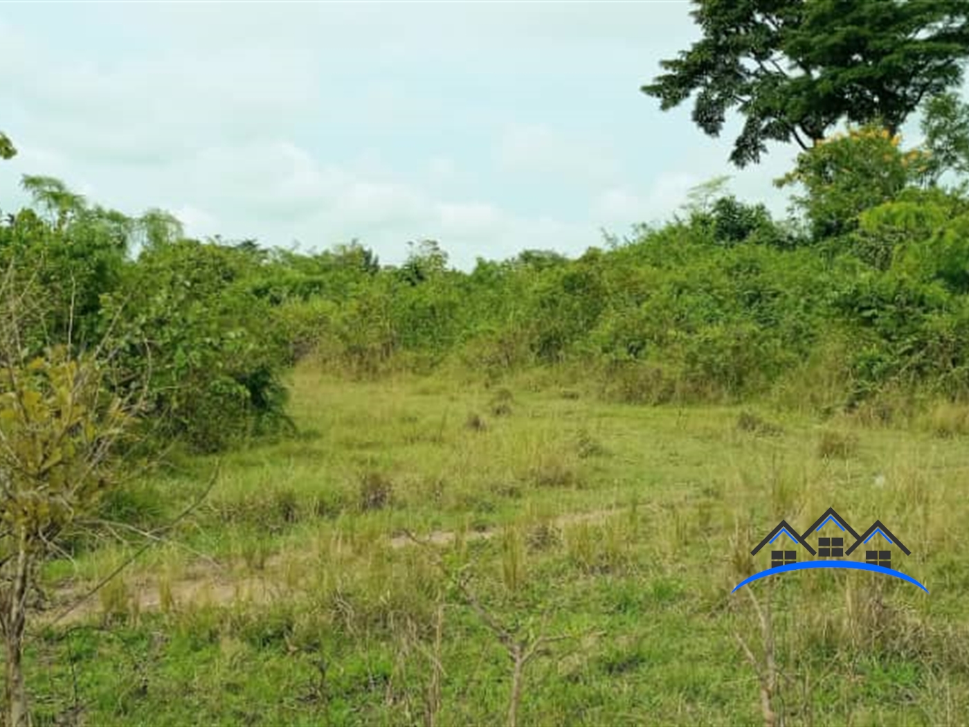 Agricultural Land for sale in Kabunyata Luwero