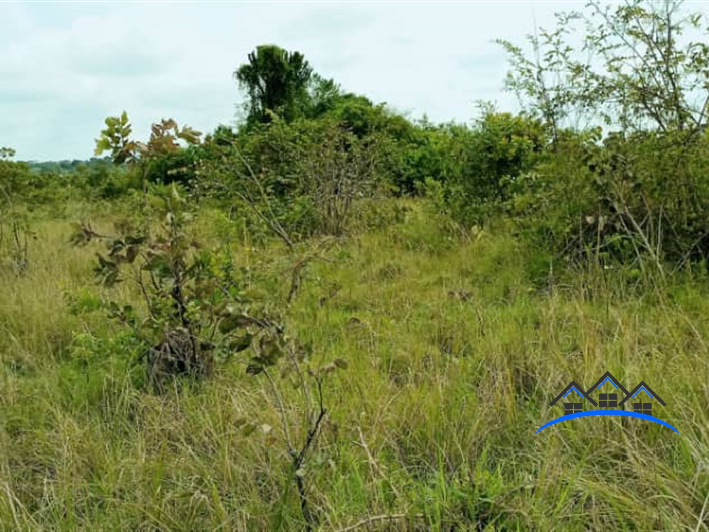 Agricultural Land for sale in Kabunyata Luweero