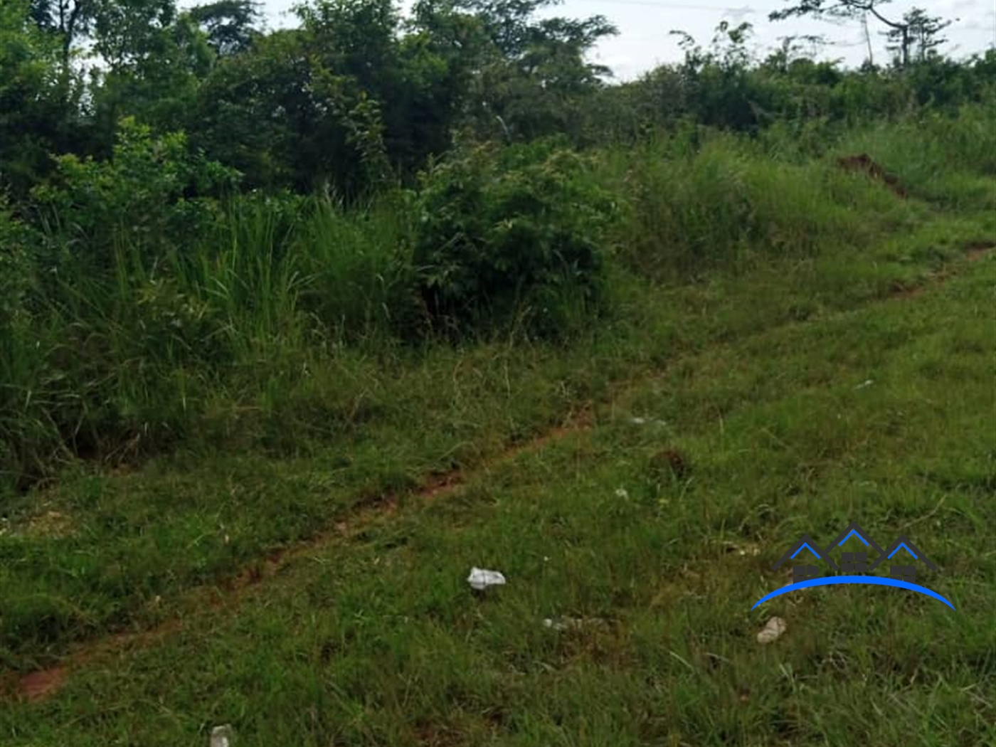 Commercial Land for sale in Walusi Nakasongola