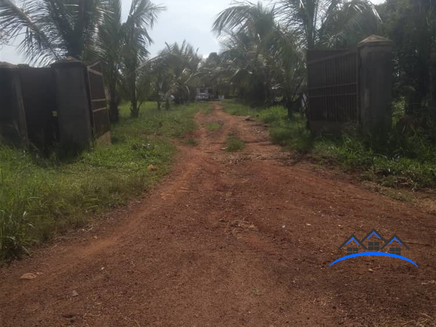 Agricultural Land for sale in Katungo Nakasongola