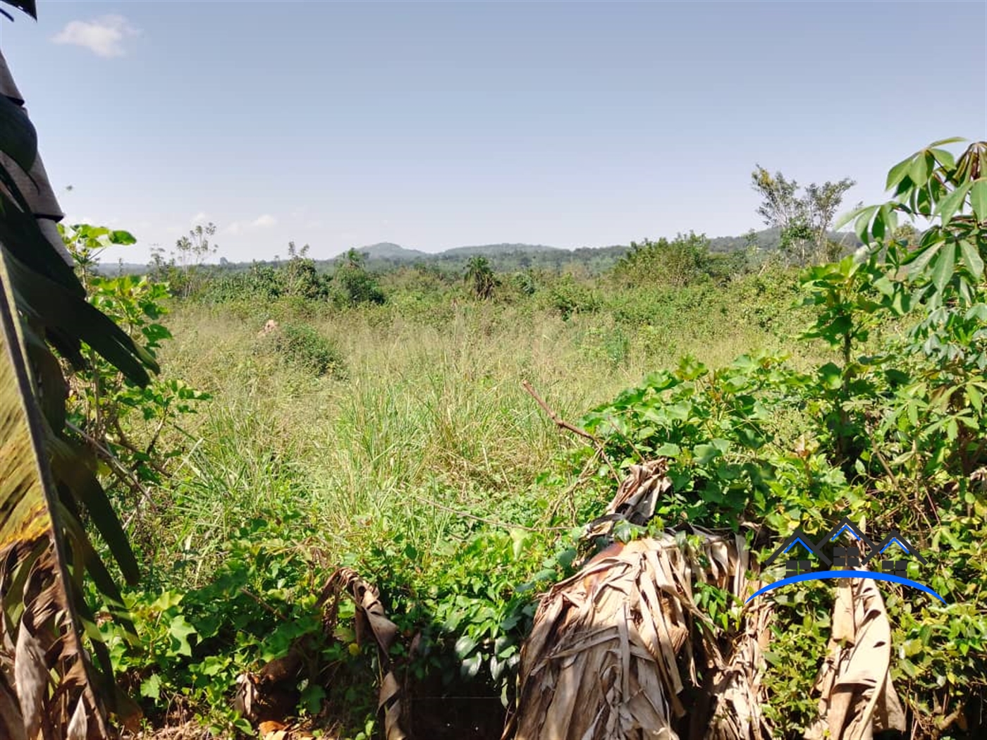 Agricultural Land for sale in Wobulenzi Luweero