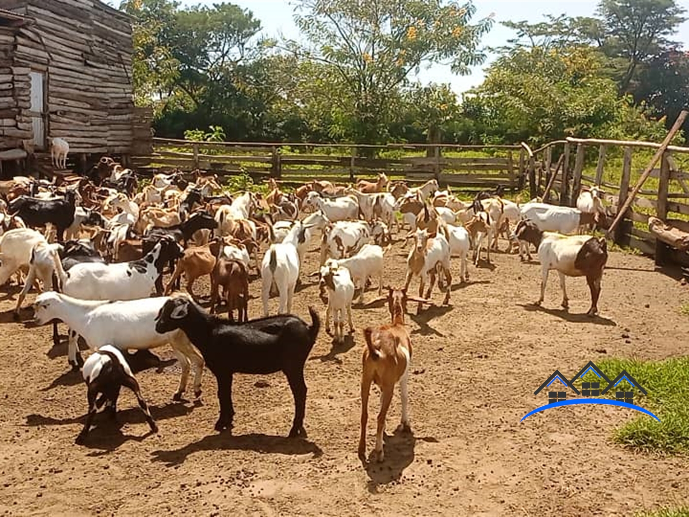 Farm for sale in Kikyuusa Luweero