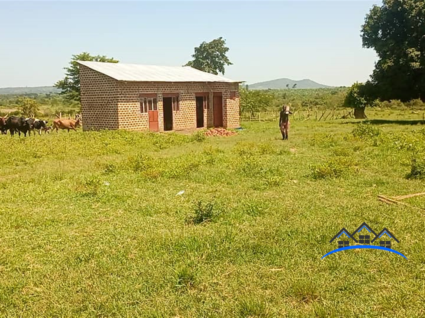 Farm for sale in Kikyuusa Luweero