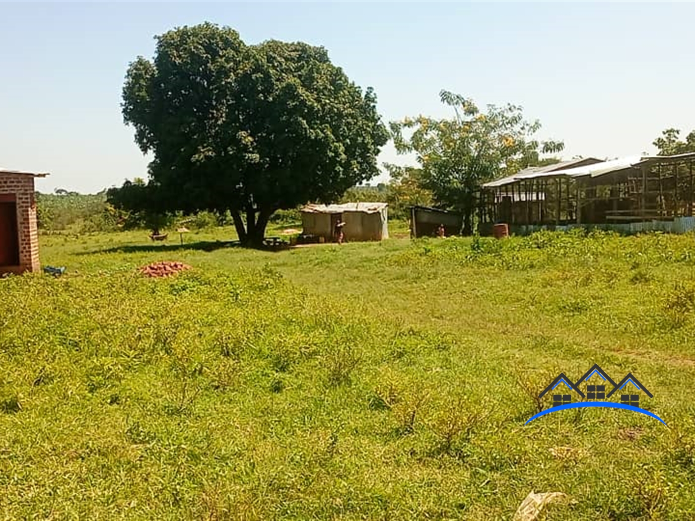 Farm for sale in Kikyuusa Luweero