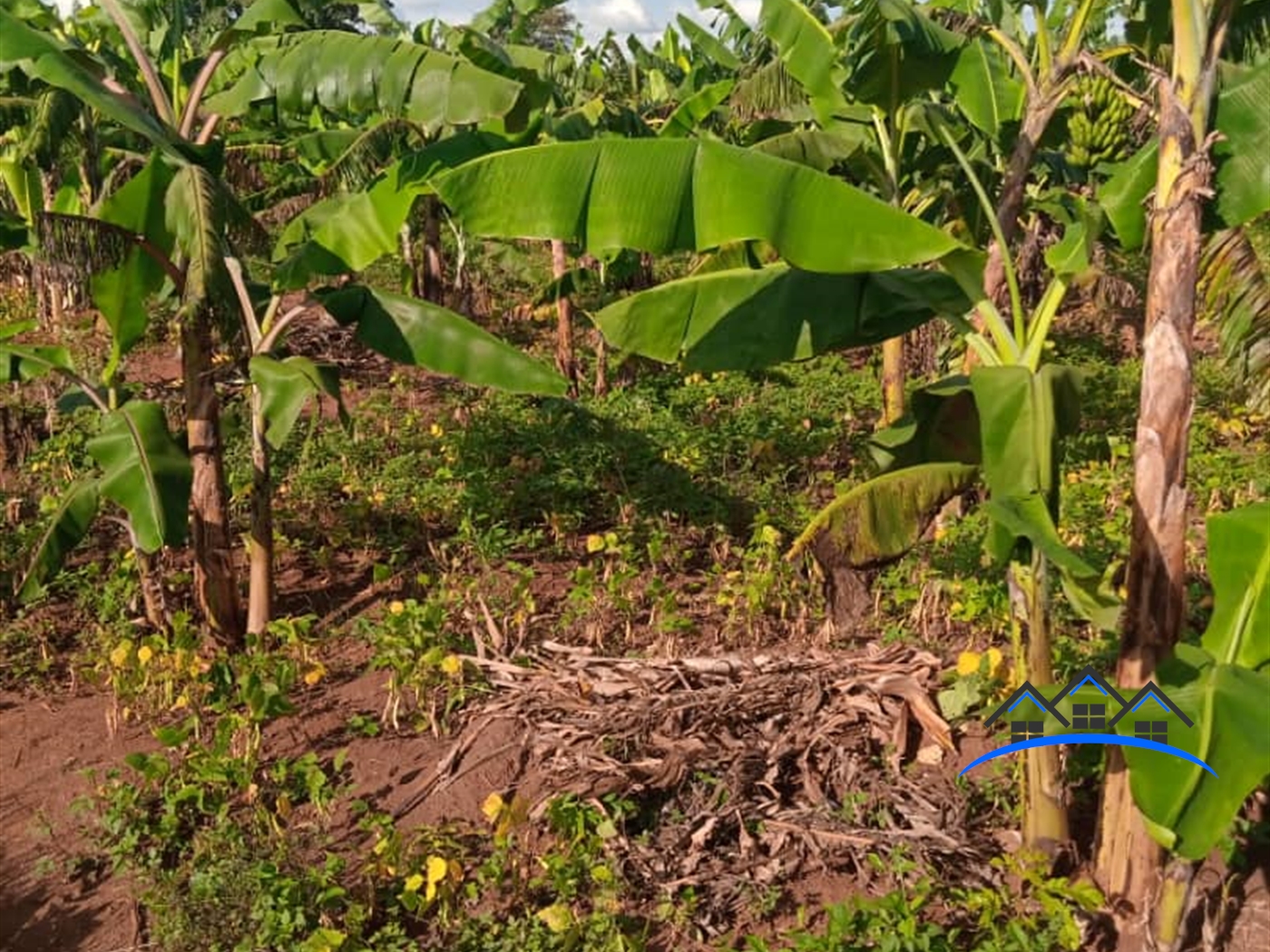 Agricultural Land for sale in Nakivule Wakiso