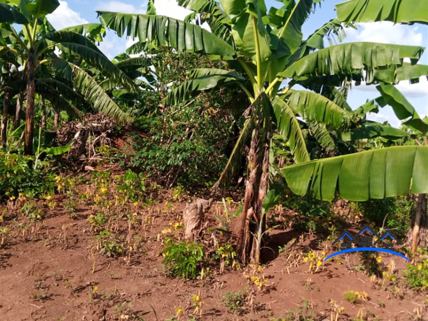 Agricultural Land for sale in Nakivule Wakiso