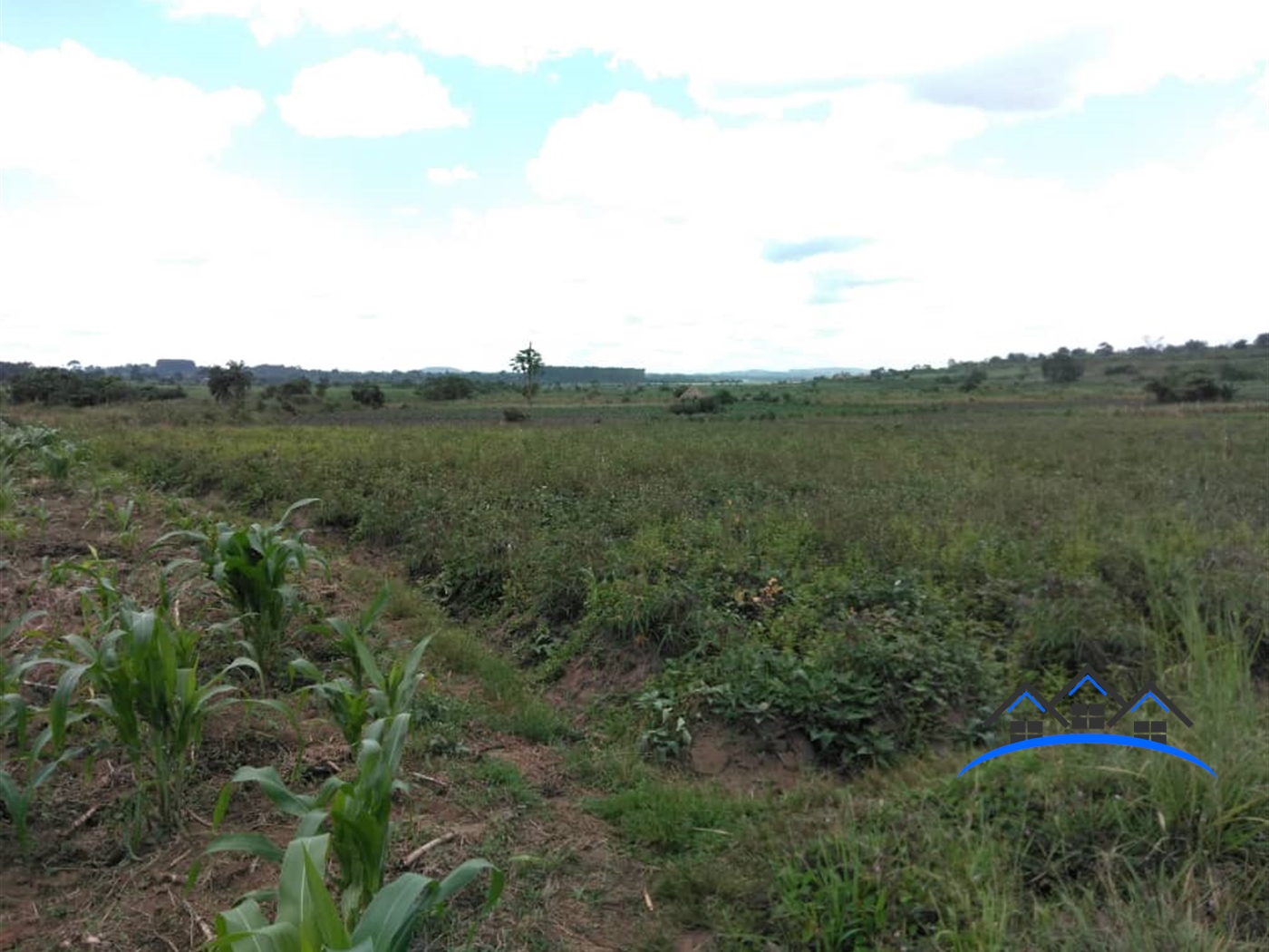 Agricultural Land for sale in Buwooya Buyikwe