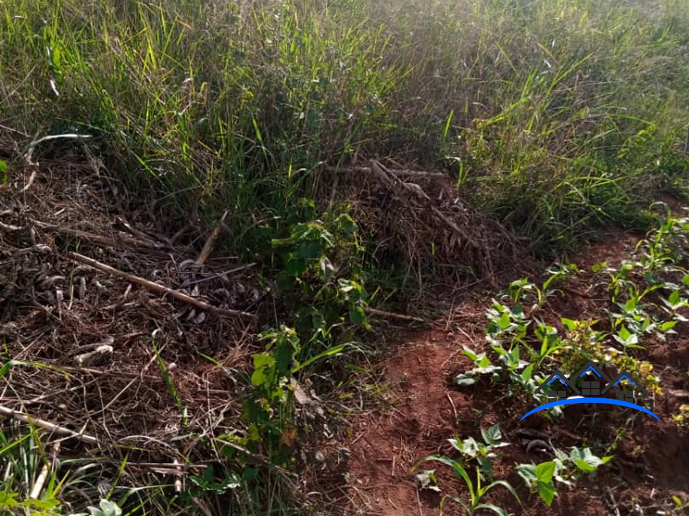 Agricultural Land for sale in Wabitungulu Wakiso