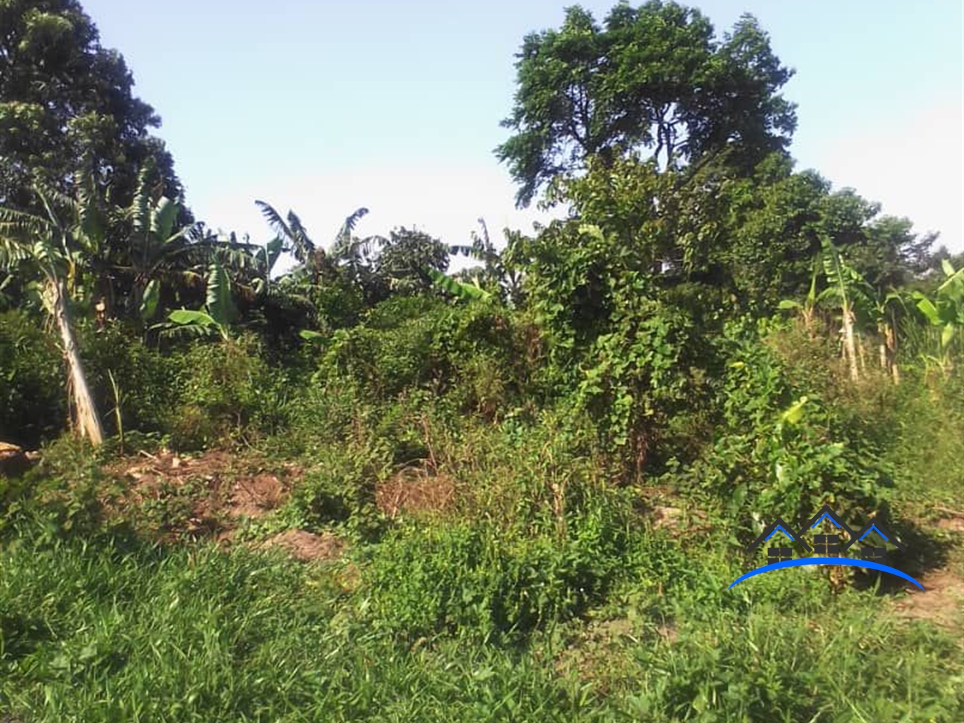 Island for sale in Navumba Kalangala